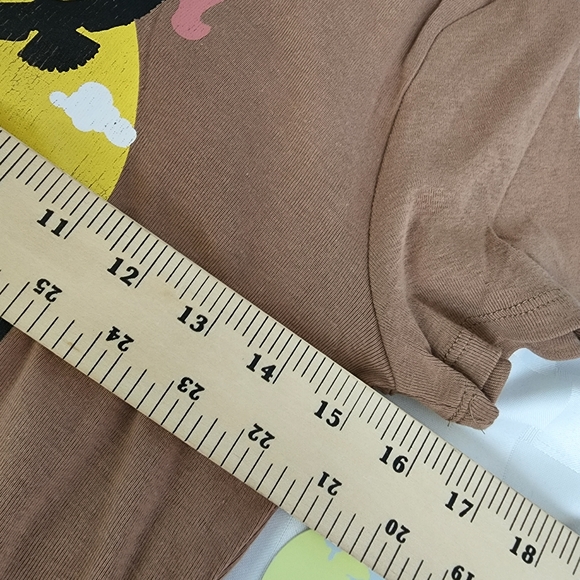 Homegirl Society Utah National Park Zion Graphic Brown Cropped Tee Size L NWT - Picture 4 of 5